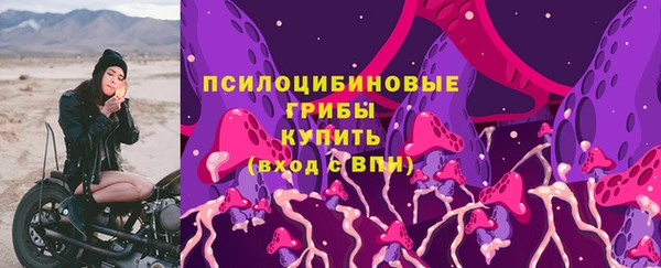 spice Богданович