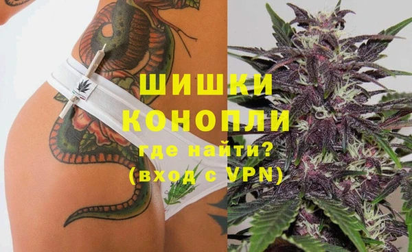шишки Богородск