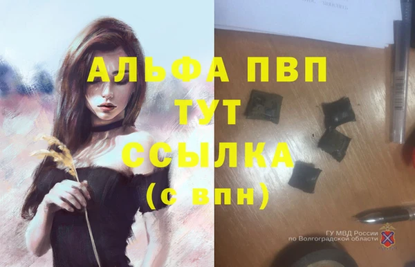 трава Богородицк