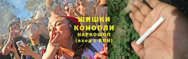spice Богданович